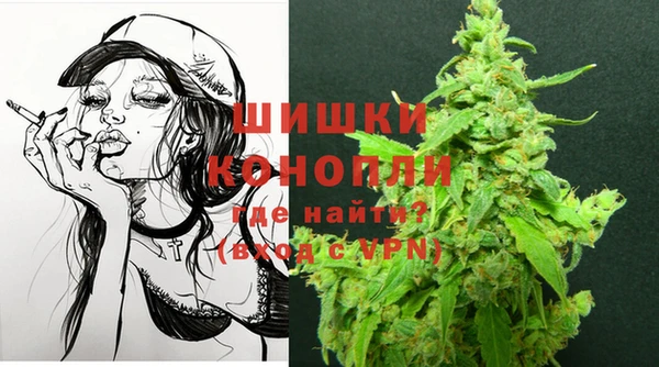 прущие грибы Балахна