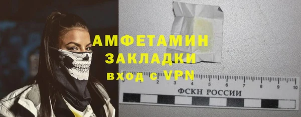прущие грибы Балахна