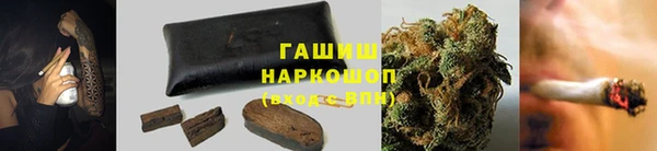прущие грибы Балахна